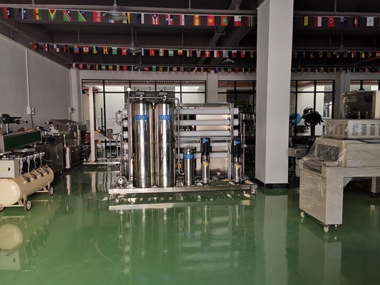 Domestic SS316L 0.5T RO Water Treatment Equipment Ro Water Purifier Machine