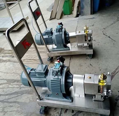 electric motor For Cosmetic Industry/304 stainless steel/High Torque Gear Motor
